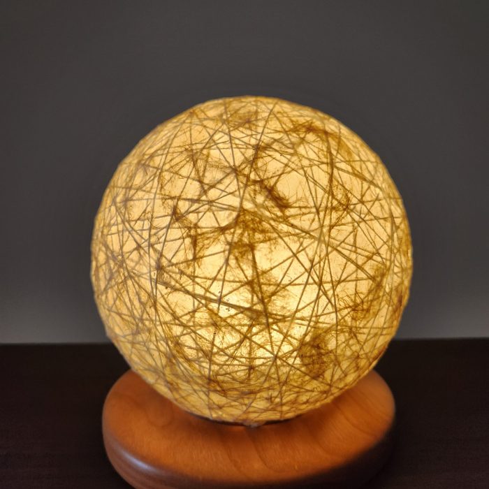 20260829_162923